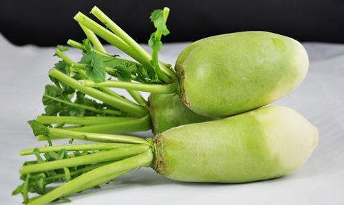 冬天蔬菜有哪些品种,适合冬季种的蔬菜有哪些品种图6