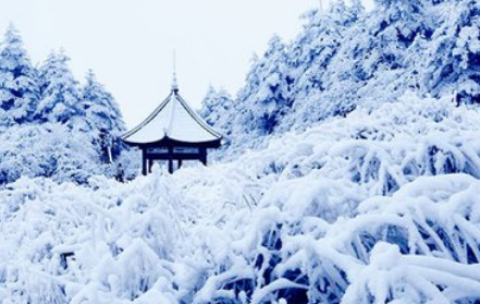 象征冬天的东西有哪些,十种代表冬天的事物都有哪些图片图18