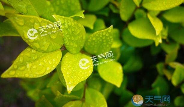 梅雨季节是什么时间