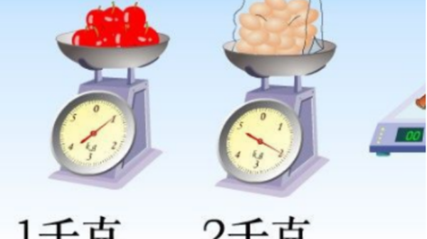 kg是多少斤,kg等于多少斤怎么算图3