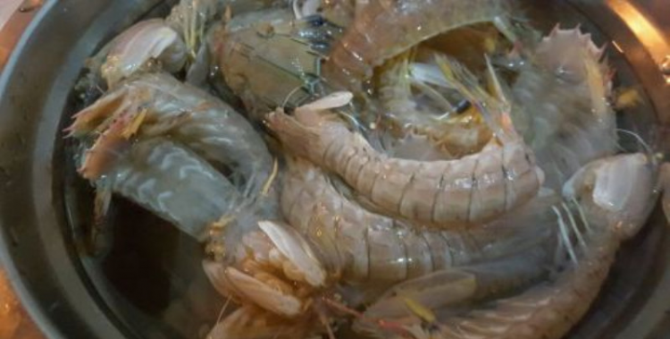 活虾死了多长时间就不能吃了