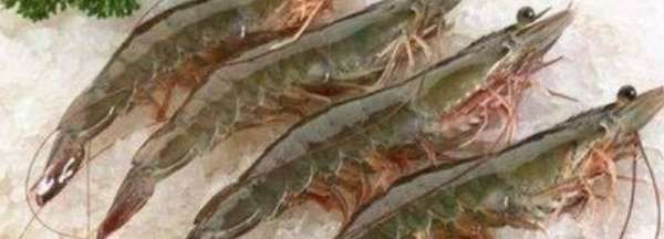 虾子死了多久就不能吃了,活虾死了多长时间就不能吃了图3