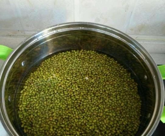绿豆颜色变成褐色能当种子吗