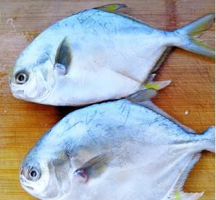 银鲳鱼怎么做好吃?（银鲳鱼这么做一次吃三大碗）(2)