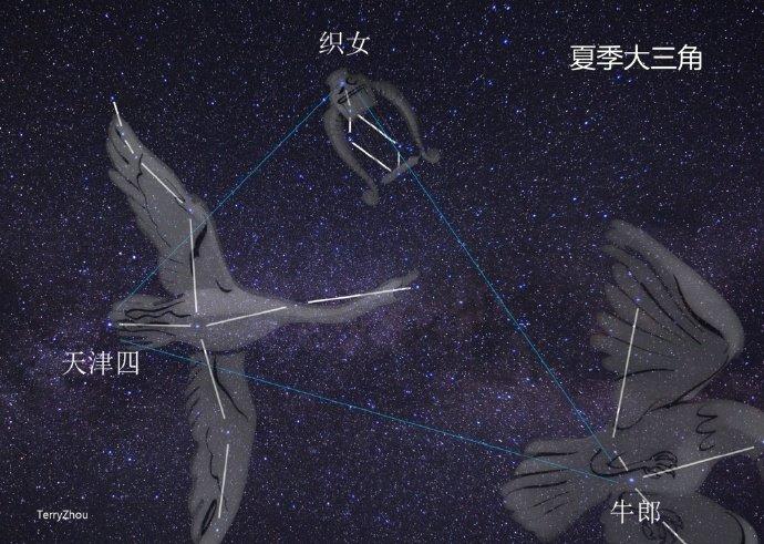 牛郎星属于什么星座