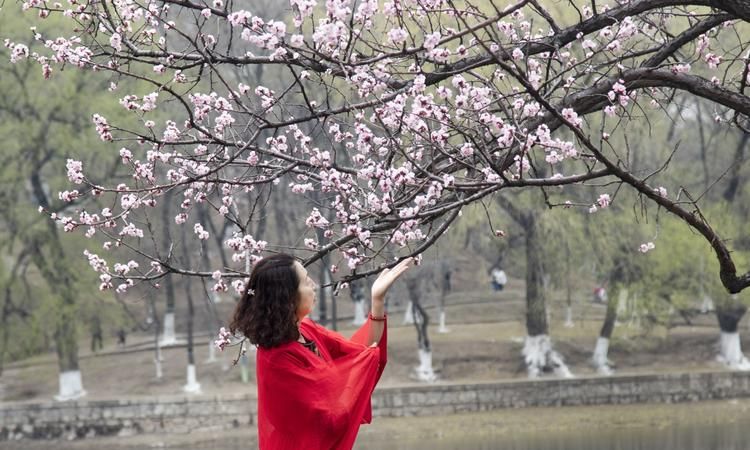 “杏林”、“桃李”、“高足”、“汗青”、各指什么