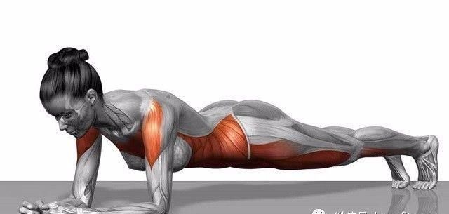 核心训练四个经典动作介绍图片