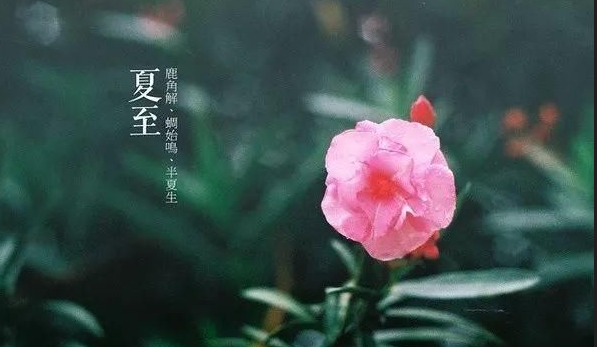 立夏的诗句唯美,春去夏至的唯美句子 知乎图1