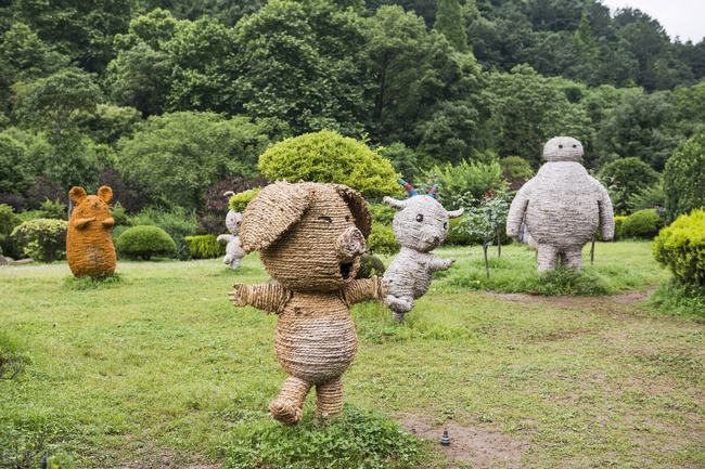 花木兰为什么姓花(花木兰为什么要砍头)