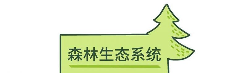 森林的重要作用是什么?