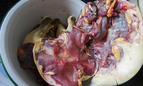 黄甲鱼怎么做好吃,黄甲鱼汤的做法大全家常做法图9