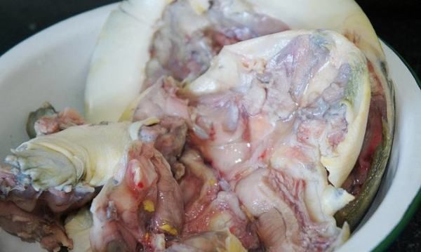 黄甲鱼怎么做好吃,黄甲鱼汤的做法大全家常做法图12