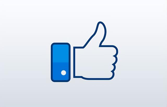 西施犬有什么特征(狗狗图鉴之西施犬)(9)