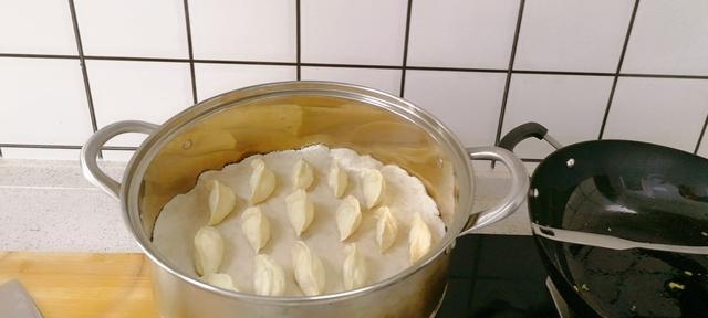 豆角饺子馅怎么做好吃窍门(小细节教你做出灵魂级的美味)(9)