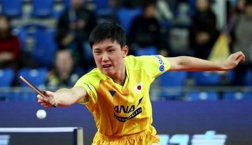 昙花一现的原因是什么,农民歌手为什么大多数都是昙花一现?是什么原因造成的呢?图8