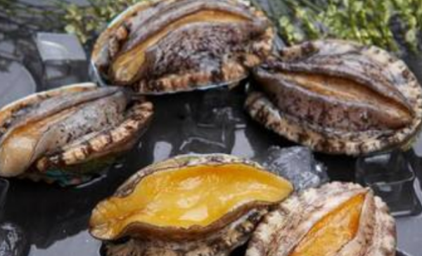 鲍鱼吃头还是足,鲍鱼的几头是什么意思图5