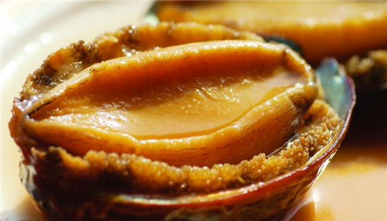 鲍鱼的特征是什么