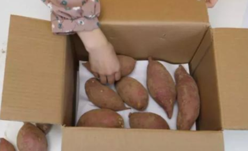 怎样保存红薯过冬不坏