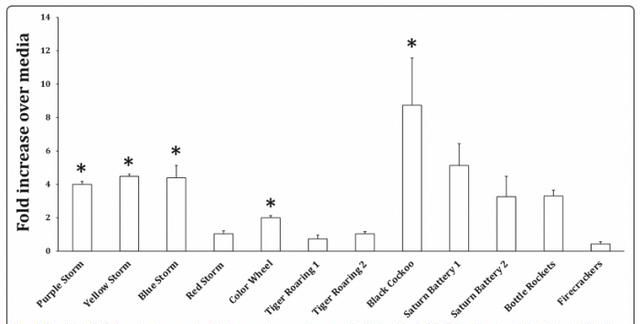 燃放烟花爆竹的危害，燃放烟花爆竹对环境的危害有多大？图6