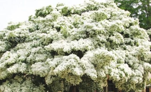 男生说的p站是什么意思啊,你经历过最尴尬的事情是什么?图3