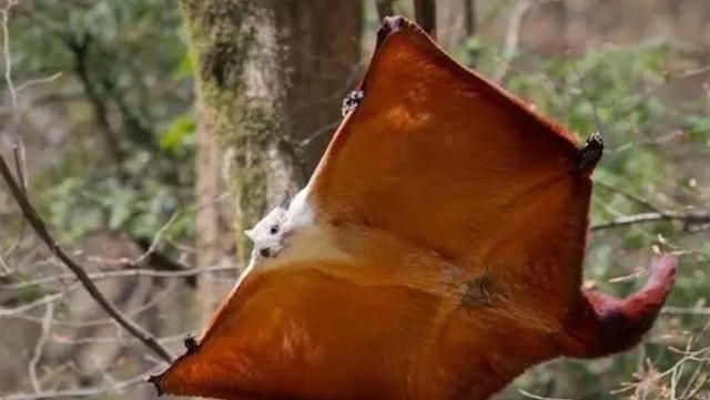 男生说的p站是什么意思啊,你经历过最尴尬的事情是什么?图1