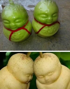 人参果怎么吃,人参果怎么吃剥皮吗还是去壳吗