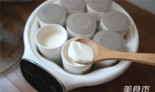 酸奶做完立马放冰箱吗