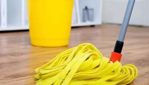 拖地时水里加什么变得干净光亮