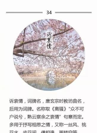 词牌名渔家傲的由来