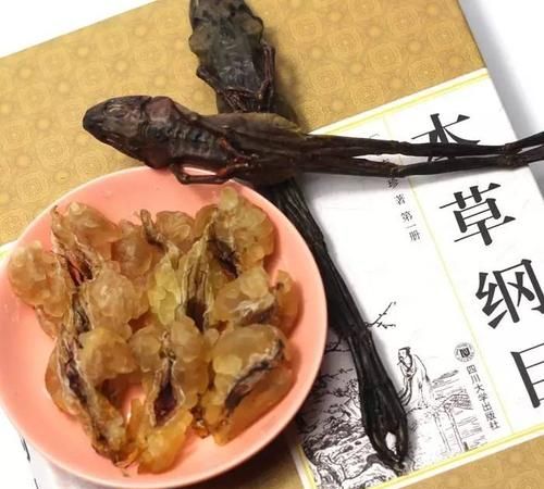 雪蛤是什么,音怎么读