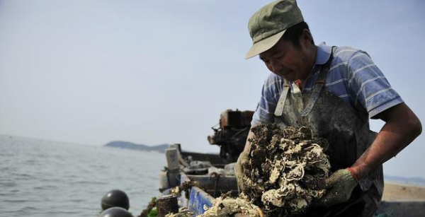 长山岛在哪个城市,长山岛在沈阳哪个方向?图11