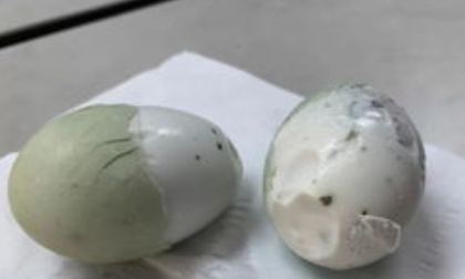 咸鸭蛋壳内壁有黑点能吃,干腌咸鸭蛋外壳出现黑点能吃了吗图8
