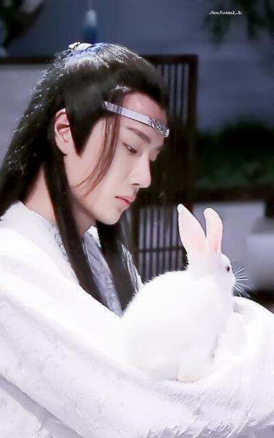 陈情令人物名字由来,陈情令人物介绍图7