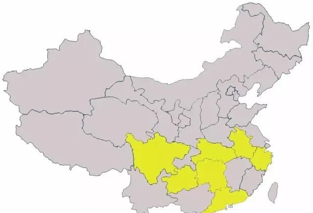 中国的茶叶行业如何分类图3