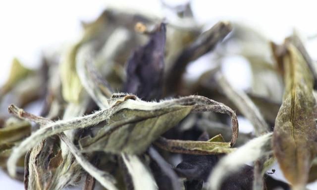 中国的茶叶行业如何分类图11