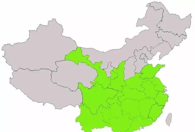 中国的茶叶行业如何分类图1