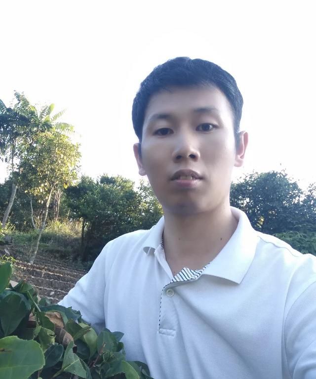 中国的茶叶行业如何分类图13