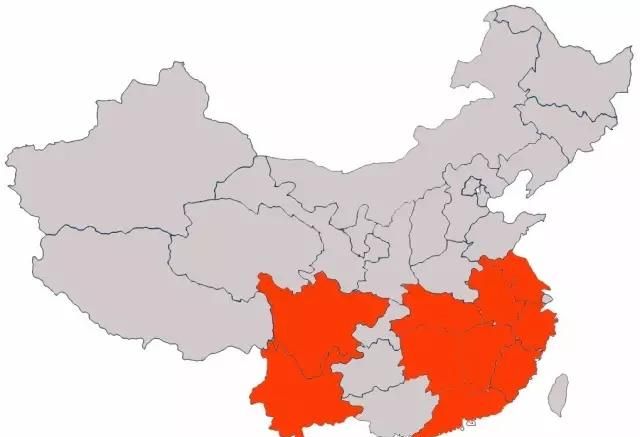 中国的茶叶行业如何分类图5