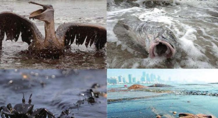 海洋污染是怎么造成的