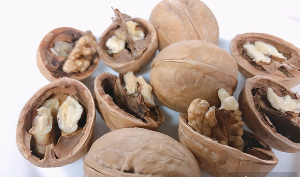 生核桃可以放多久如何保存,新鲜核桃可以放多久,如何保存图6