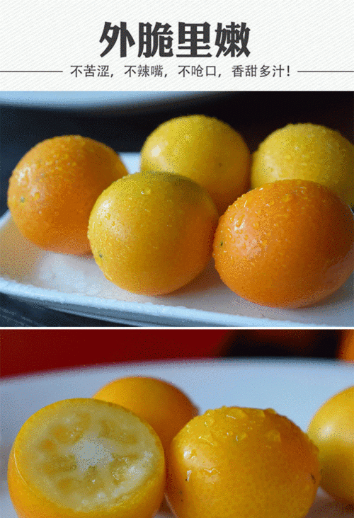 橘子和金橘是一种水果吗