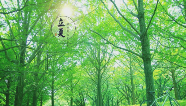 立夏是几月几日,立夏是几月几号?图2