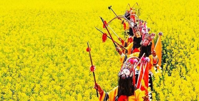 贵州万亩樱花在什么地方，贵州平坝万亩樱花什么时候开？图6