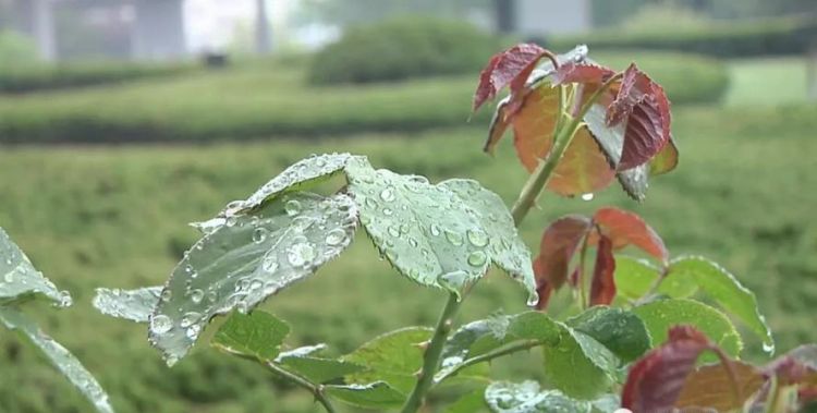 谷雨至立夏下雨降温怎么钓鱼