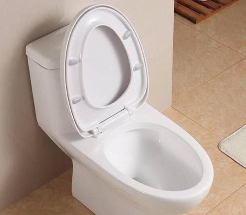 一般家里的马桶多久更换一次比较好