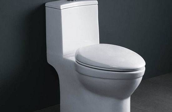 一般家里的马桶使用几年后需要更换