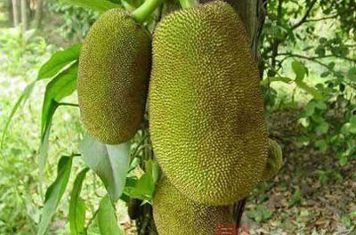 没有开的菠萝蜜飞机上可以随身携带吗