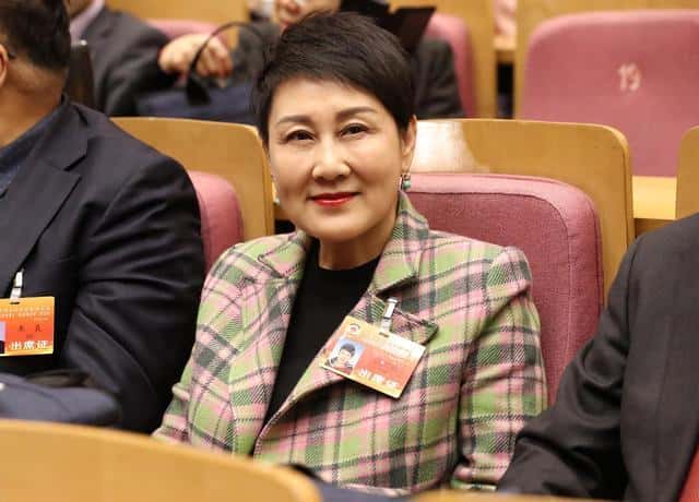 影视演员张凯丽的简历（张凯丽个人简历资料介绍）