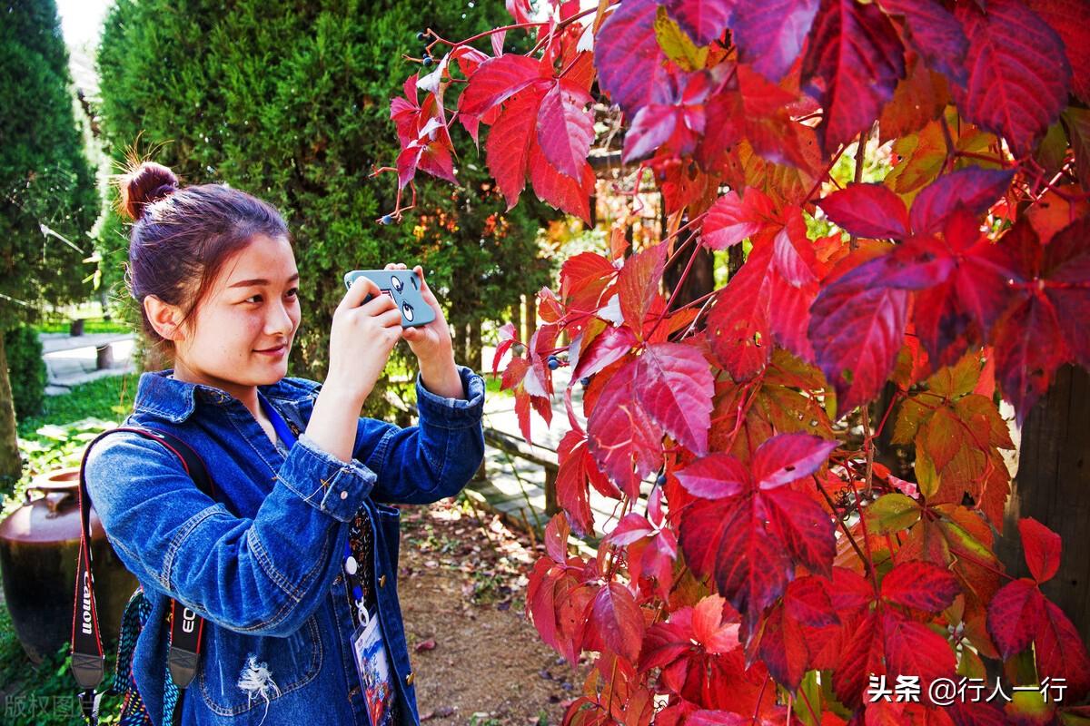 河南风景旅游景点排行前十名（河南风景区排名前十名）
