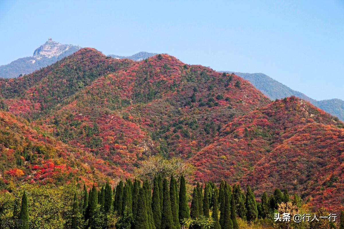 河南风景旅游景点排行前十名（河南风景区排名前十名）